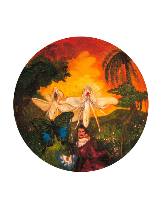 Embrace in the field with angel orchid and banded Peacock butterfly